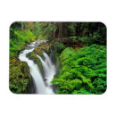 Recherche de duc magnets Vert