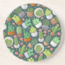 Recherche de plantes dessous de verres Nature