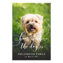 Recherche de photo de chien art Pour animaux