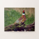 Recherche de faisans puzzles Faune