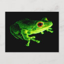 Recherche de grenouille verte cartes postales Animal