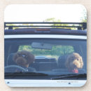 Recherche de caniche dessous de verres Humour