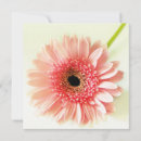 Recherche de gerberas invitations Floral