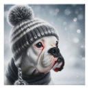 Recherche de de boxe posters Animaux