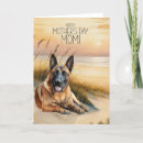 Recherche de belge de malinois Amoureux des chiens