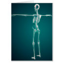 Recherche de cage thoracique cartes postales Côtes vertébrales