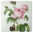 Zoek naar rosa tegels Botanisch