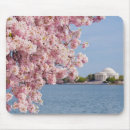 Recherche de dc tapis souris Architecture