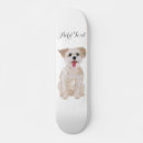Zoek naar honden skateboards Dierenliefhebbers
