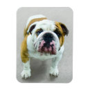 Recherche de dog magnets Rouge