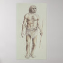 Zoek naar neanderthaler posters Homo