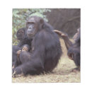 Recherche de parc national de gombe Environnement
