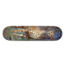 Recherche de grand chat skateboards Guépard
