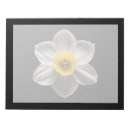 Zoek naar daffodil notitieblokken Narcissen