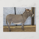 Recherche de basse cour posters Animal