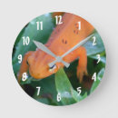 Recherche de salamander posters Faune