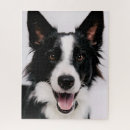 Recherche de chiens de sourire puzzles Drôle