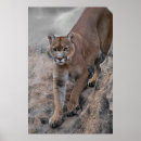 Recherche de escalade roche posters Puma