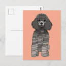 Zoek naar poodle briefkaarten Dier