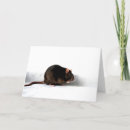 Recherche de rat mignon vœux cartes Rongeur