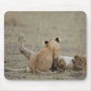 Recherche de panthera lion tapis souris Faune