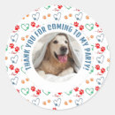 Recherche de amoureux des chiens autocollants Fête d'anniversaire