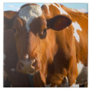 Recherche de appareil photo carreaux Agriculture