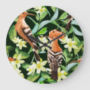 Recherche de oiseau exotique horloges Tropical