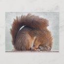 Recherche de humour yoga de cartes postales Animal