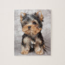 Zoek naar yorkshire puzzels Schattige hond