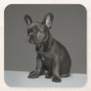 Zoek naar french bulldog onderzetters Schattig