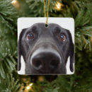 Recherche de portrait ornements Dog