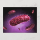Zoek naar cel biologie posters Kleurenbeeld