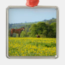 Recherche de endroits célèbres ornements Horizontal