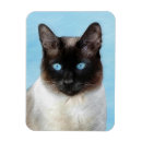 Recherche de peinture de chat magnets Pour tous