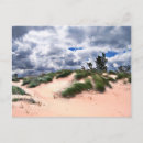 Recherche de balayé cartes postales Nature