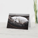 Zoek naar bokser hond kaarten Honden