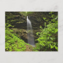 Recherche de adam jones Parc national