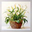 Recherche de jardinier posters Fleurs