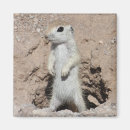 Recherche de garde forestière magnets Nature