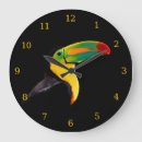Recherche de toucan horloges Nature