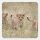 Zoek naar afrika stickers Natuur