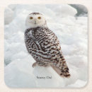 Recherche de hibou neigeux Oiseau