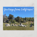 Recherche de attrapé cartes postales Californie