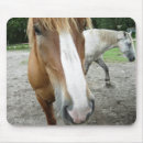 Recherche de art cheval tapis souris Chevaux
