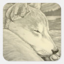 Recherche de shiba inus autocollants Amoureux des chiens