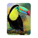 Recherche de oiseau exotique magnets Toucan