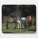 Zoek naar mustang muismatten Wild