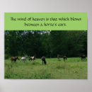 Recherche de race cheval posters Course