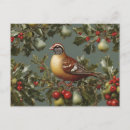 Zoek naar partridge posters briefkaarten Vintage